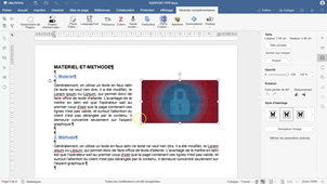 PRESENTATION_RAPPORT_PPP