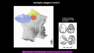 Archéoscience - 7 - Le Paléolithique moyen dans le Nord de la France