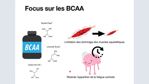 Nutrition Niveau 2 - Cours du mercredi 5 mars 2025 - La nutrition sportive