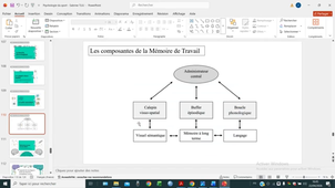 Psychologie du Sport Niveau 2 22/04/2026 Cours n°6