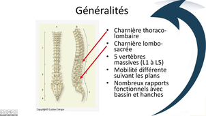 Colonne lombaire