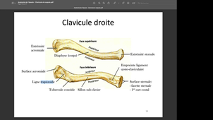 Cours du lundi 16 septembre 2024