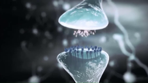 projet neurone ‐ Réalisée avec Clipchamp.mp4