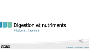 M2_capsule1_digestion et nutriments.mp4