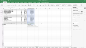 ONLYOFFICE TABLEUR VENTES2
