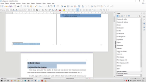 LibreOffice - traitement de texte - 2020 correction commentée