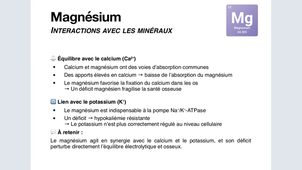 Nutrition niveau 2 - Les minéraux clés du sportif