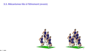 Cours de Physio #8