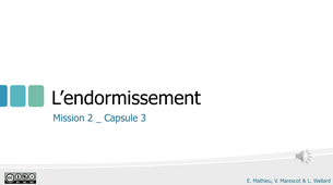 M2_Capsule 3_endormissement.mp4