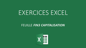 EXCEL EXERCICE FIN3 CAPITALISATION