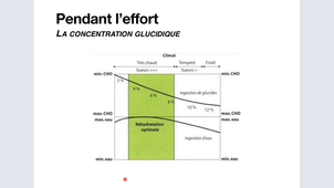 Nutrition Niveau 2 - Cours du mercredi 26 février 2025 - L'hydratation
