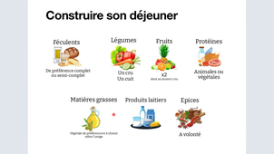 Nutrition Niveau 2 - Cours du mercredi 12 février 2025 - L'alimentation au quotidien