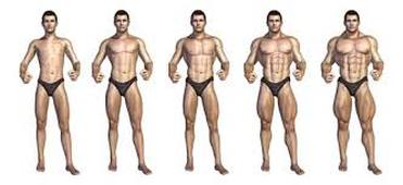 L3P_SHN_L1_Physio_Cours#9_Force_Structure.mp4