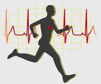 L3P_SHN_L2_Physio_Cours#7_Régulation_Adaptation.mp4