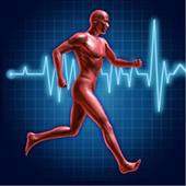 L3P_SHN_L3_Physio_Cours#0_Infos.mp4