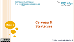 Mission 1_Capsule 3_Cerveau & Stratégies