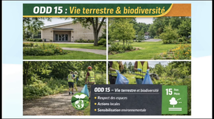 Box 431 - Wilsya DELLAA