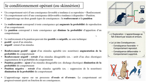 Psychologie du Sport Niveau 2 11/03/2026 Cours n°2
