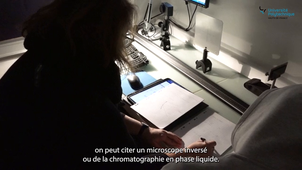 IUT MP présentation