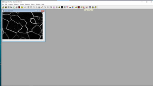 ImagePro thinning & prunning