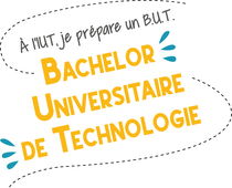 Bachelor Universitaire de Technologie