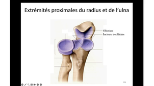 Cours du lundi 4 novembre 2024