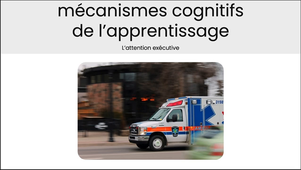 MP sport IA chapitre 1 - partie 2