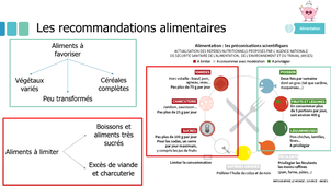 M2_capsule1_digestion et nutriments.mp4