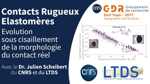 Contacts Rugueux Elastomères : Evolution sous Cisaillement de la Morphologie du Contact Réel