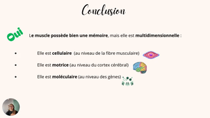 Predine Alix box 532 neuro.mp4