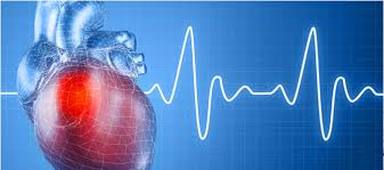 L3P_SHN_L2_Physio_Cours#3_Coeur_Fonctionnement.mp4