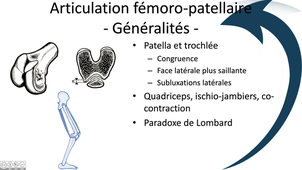 Articulation fémoro-patellaire