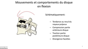 Cinématique du disque intervertébral