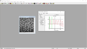 ImagePro correction de fond