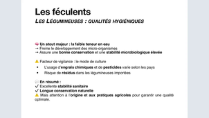 Nutrition niveau 2 - Les familles d'aliments 1/4