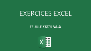 EXCEL EXERCICE STAT NB.SI