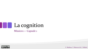 Mission1_capsule1_Cognition.mp4