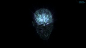 ModuleTromperCerveauNeuroneGroupeG.mp4