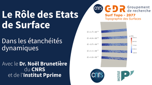 Le Rôle des Etats de Surface dans les Etanchéités Dynamiques