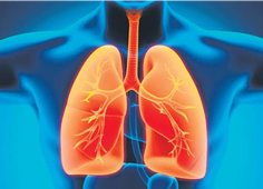 L3P_SHN_L3_Physio_Cours#1_Intro_Système_Respiratoire.mp4