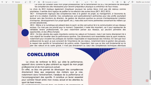 Vidéo BOX 521 Antonin Cavignaux.mp4