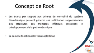 3MH_Concept_ROOT