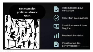 Psychologie du Sport Niveau 2 04/03/2026 Cours n°1