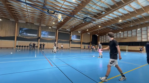 Ayla.MERCIER@FAPSA.INSA.SPORTSCO.mov