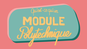 Qu'est-ce qu'un Module Polytechnique ?