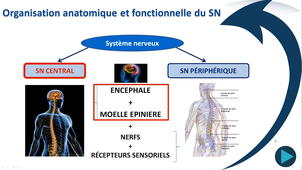 CM4 SNC