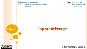 M1_capsule1_l'apprentissage