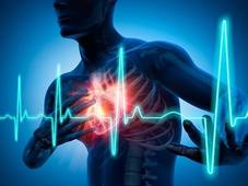 L3P_SHN_L2_Physio_Cours#8_Pathologies_Cardio-vasculaires.mp4