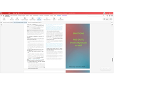 Préparation mentale - Cours du lundi 12 mai 2025 - Gestion de l'énergie et des émotions