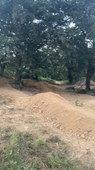 BC1.Ronan_auge.mov